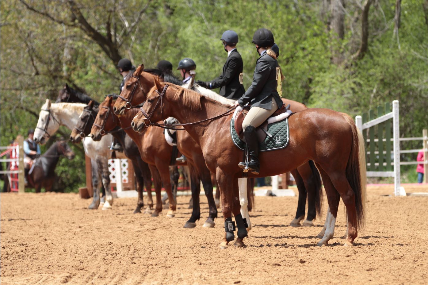 HOOFPRINTS: New Additions to the Hoofer Herd – Hoofer Riding Club