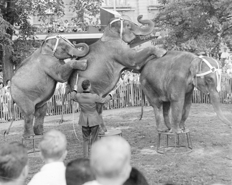 Throwback Thursday: The circus comes to the Terrace