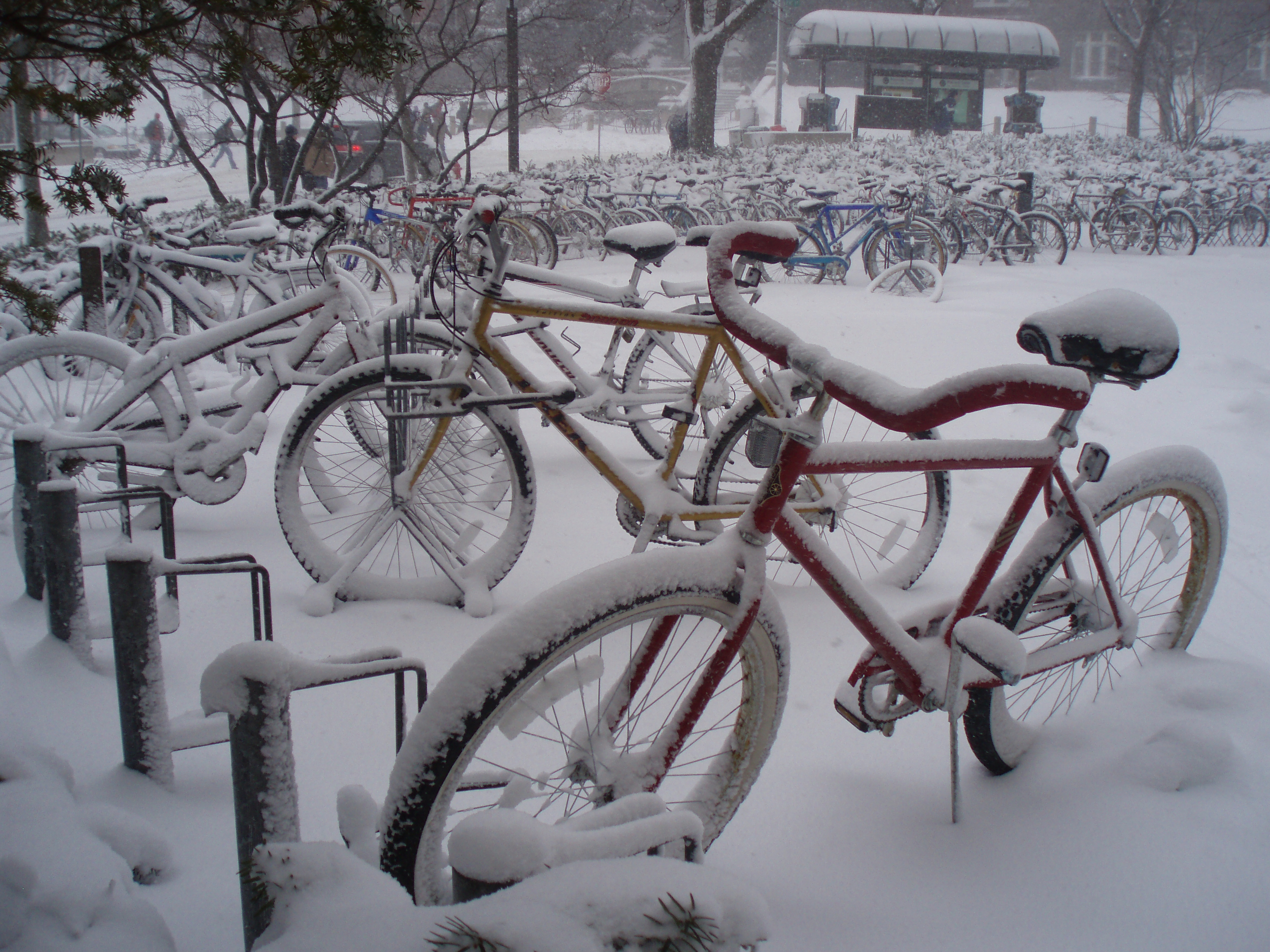 Throwback Thursday: Snow-covered bicycles outside Wisconsin Union Theater