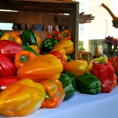 Feast Your Eyes on the Union South Farmer’s Market