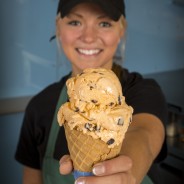 Unique Babcock Flavors to Try This Summer