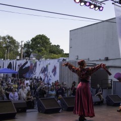 Madison World Music Festival Features Global Sounds and Sights
