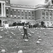 Fall Flashback
