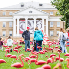 Save the Date to Flock Together to Make a Difference: Fill the Hill, Oct. 24-25