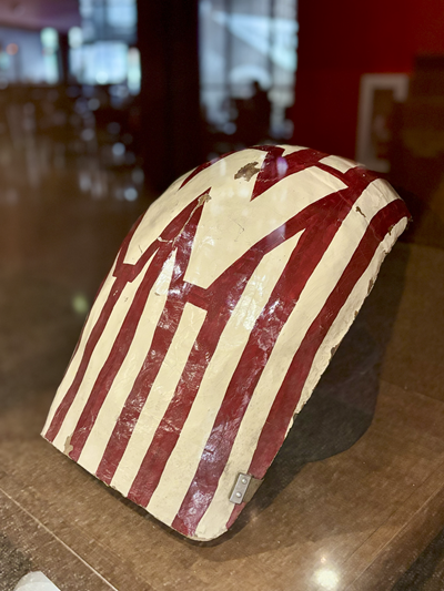 bucky chest plate