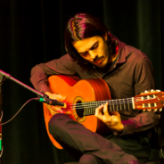Madison World Music Festival Brings in Artists from Abroad
