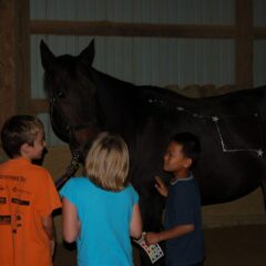 Riding club star gazes and grazes at second Universe in the Pasture event